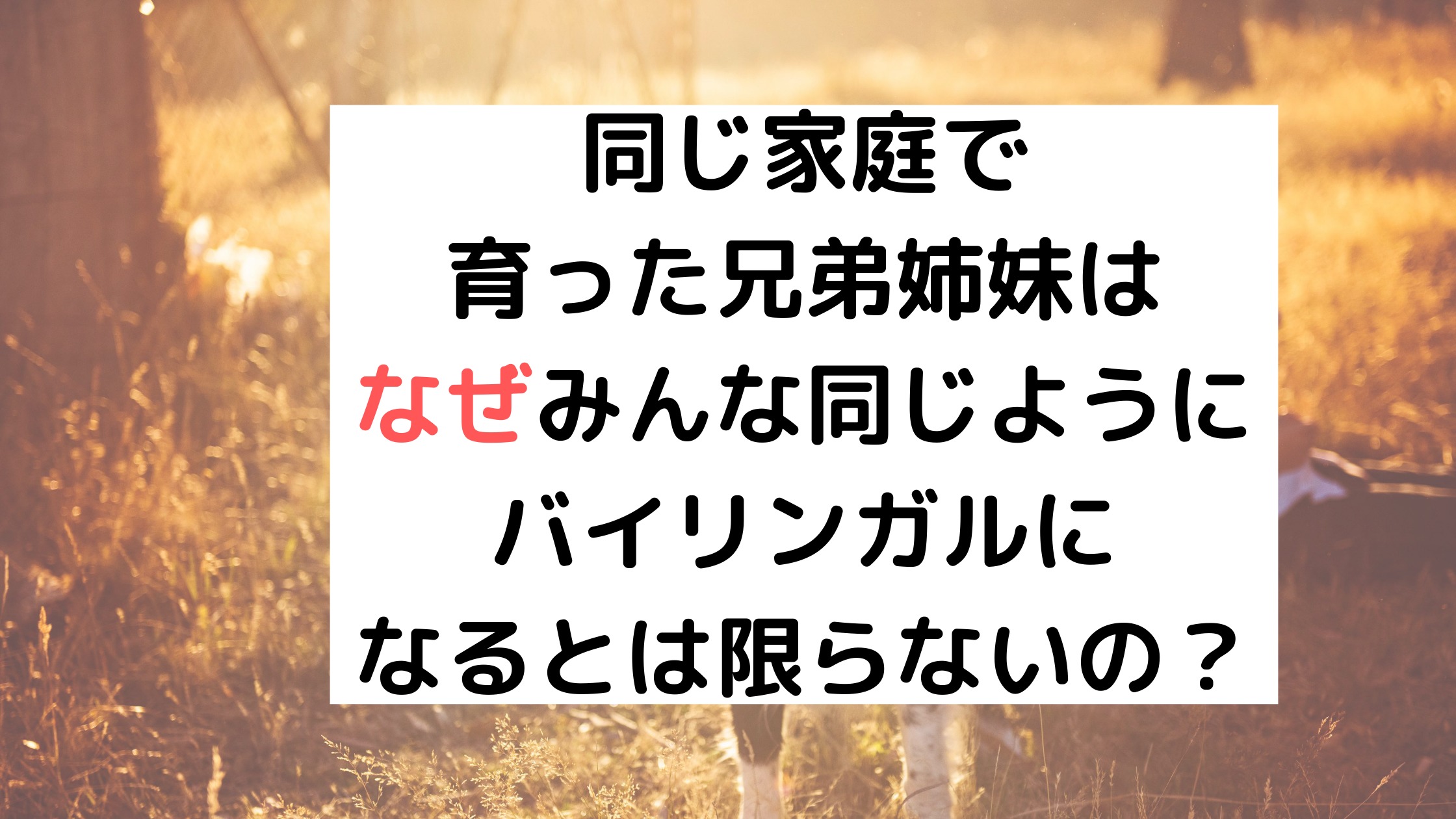 バイリンガルの兄弟はみんな同じくらいバイリンガル ５つの事例から バイリンガル育児 まめリンガル