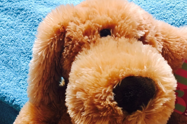 Bow Wow も Ruff Ruff も 멍멍 モンモン も なぜ私には Bow Wow も Ruff Ruff も 멍멍 モンモン も なぜ私には