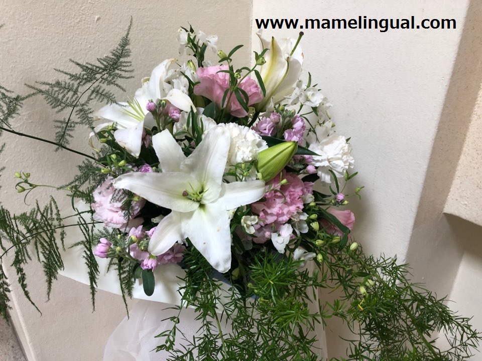 https://www.mamelingual.com