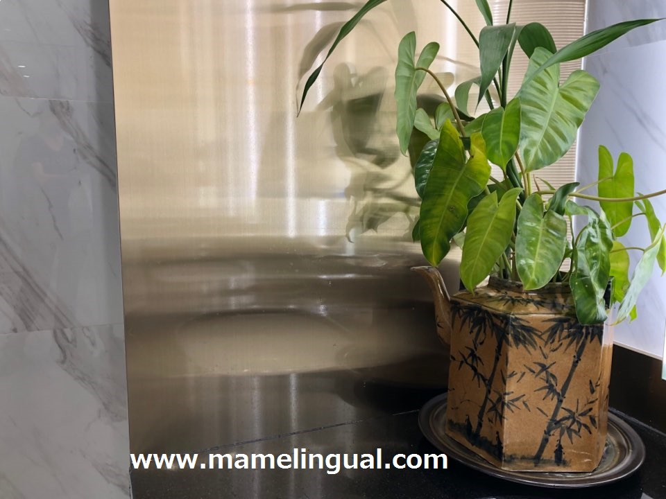 https://www.mamelingual.com