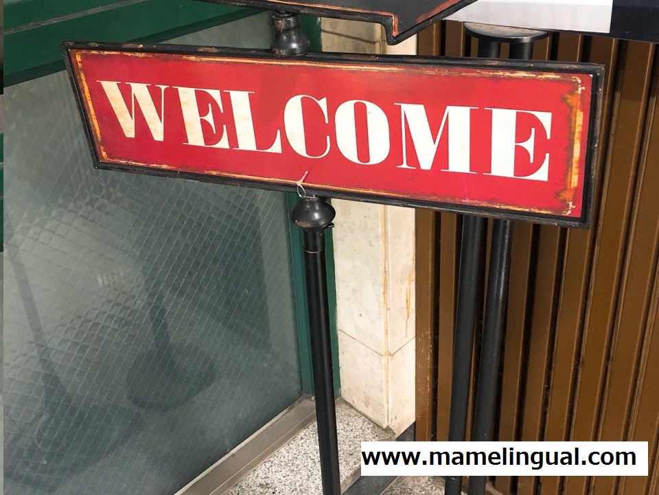 https://www.mamelingual.com