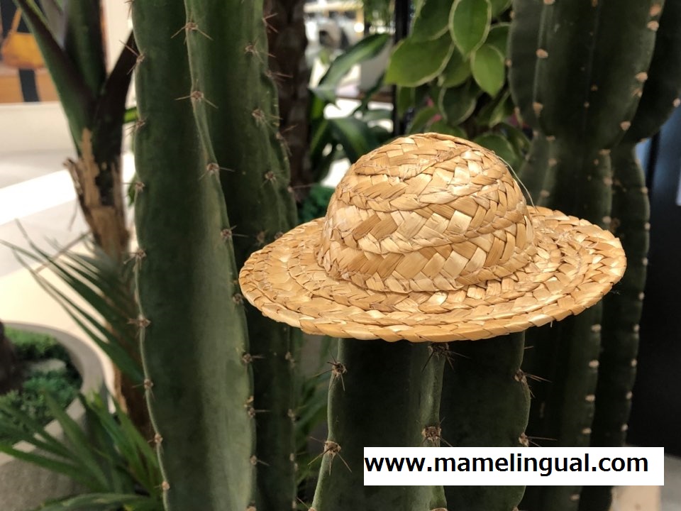 https://www.mamelingual.com